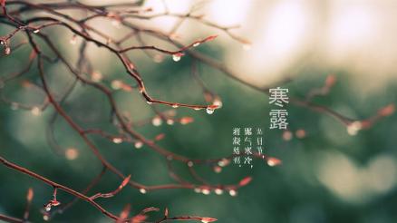 17. 寒露