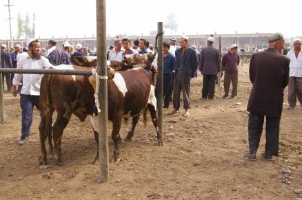 04. MERCADO DE KASHGAR