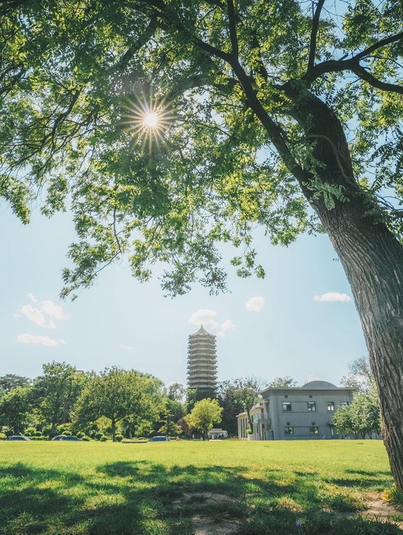 Pagoda campus Beida 